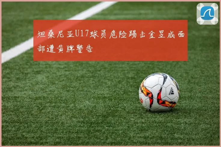 坦桑尼亚U17球员危险踢击金昱成面部遭黄牌警告